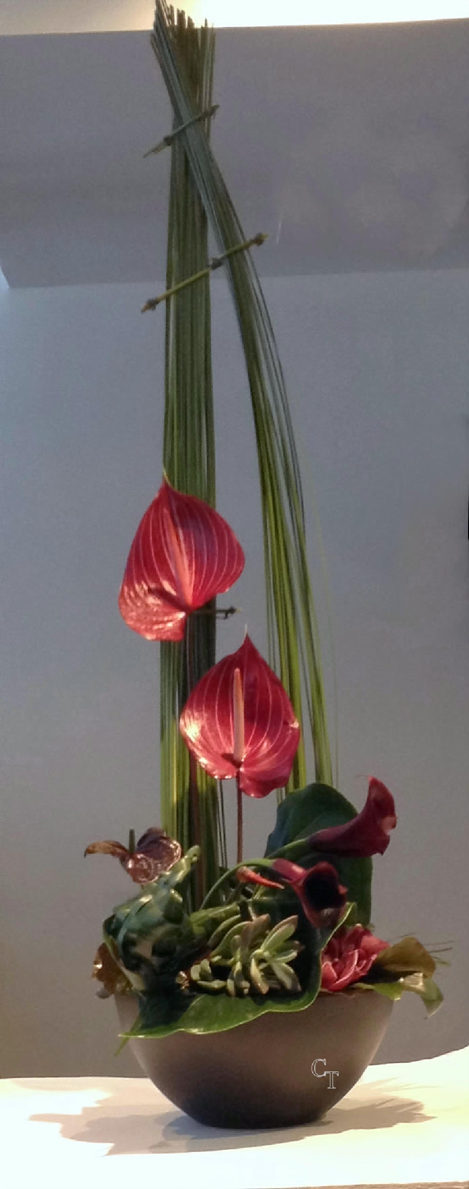 Architectural floral design Toronto | The Chocolate Tulip