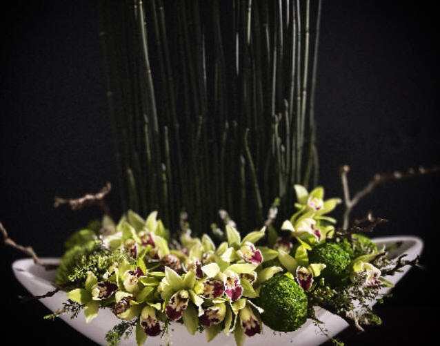 Local Floral Delviery Toronto  | The Chocolate Tulip