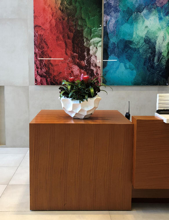 Interior Plant Maintenance Toronto