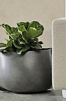 Interior Plant Design Toronto