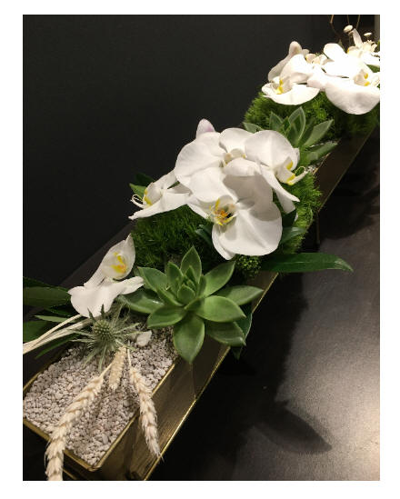 Modern Flower Design Toronto  | The Chocolate Tulip