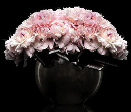 Mother's Day Peonies |The Chocolate Tulip 