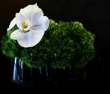 Best Mother's Day Flower Delivery Toronto |The Chocolate Tulip