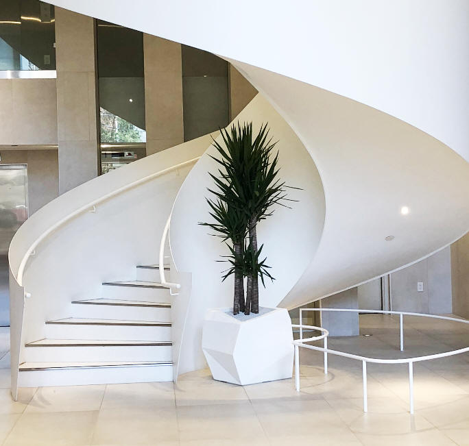 Interior Plants Toronto