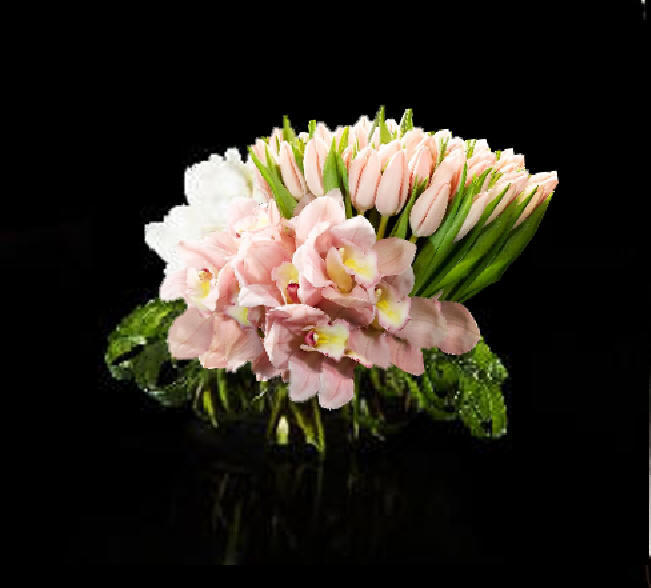 Order Flowers Online |The Chocolate Tulip