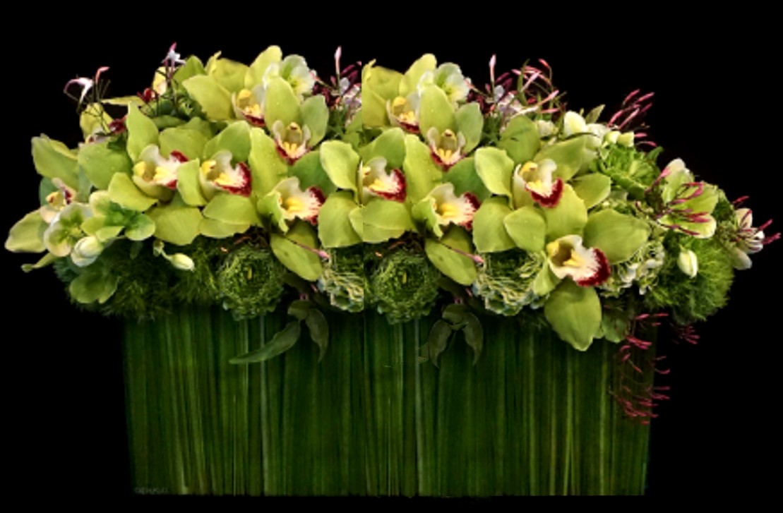 Mother' Day Orchid arrangment | The Chocolate Tulip