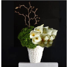 Toronto Florist  | The Chocolate Tulip