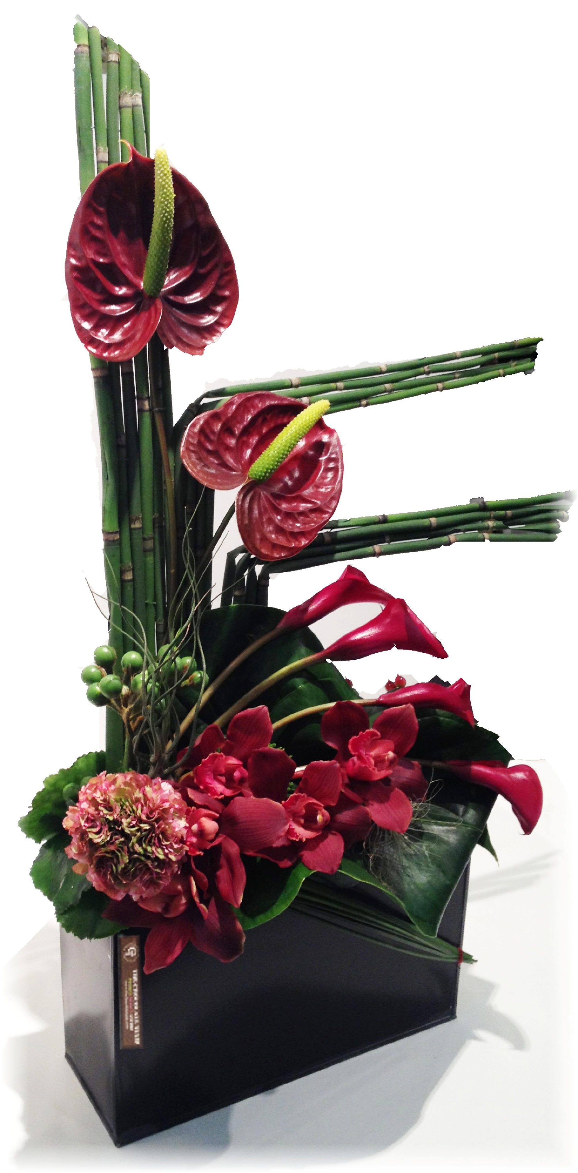 Modern Floral Design Toronto | The Chocolate Tulip